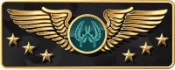 Supreme Master First Class badge