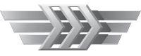 Silver III Wingman rank icon