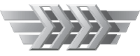 Silver IV Wingman rank icon