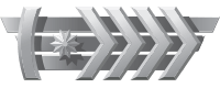 Silver Elite Master Wingman rank icon